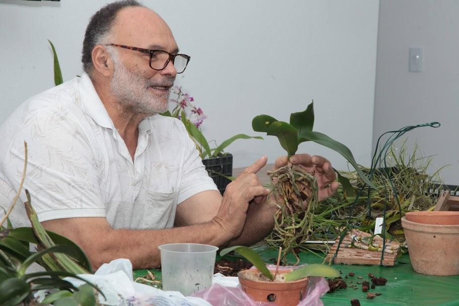 homem está sentado diante de várias mudas de orquídeas. Ele segura e aponta para uma delas. #paratodosverem 