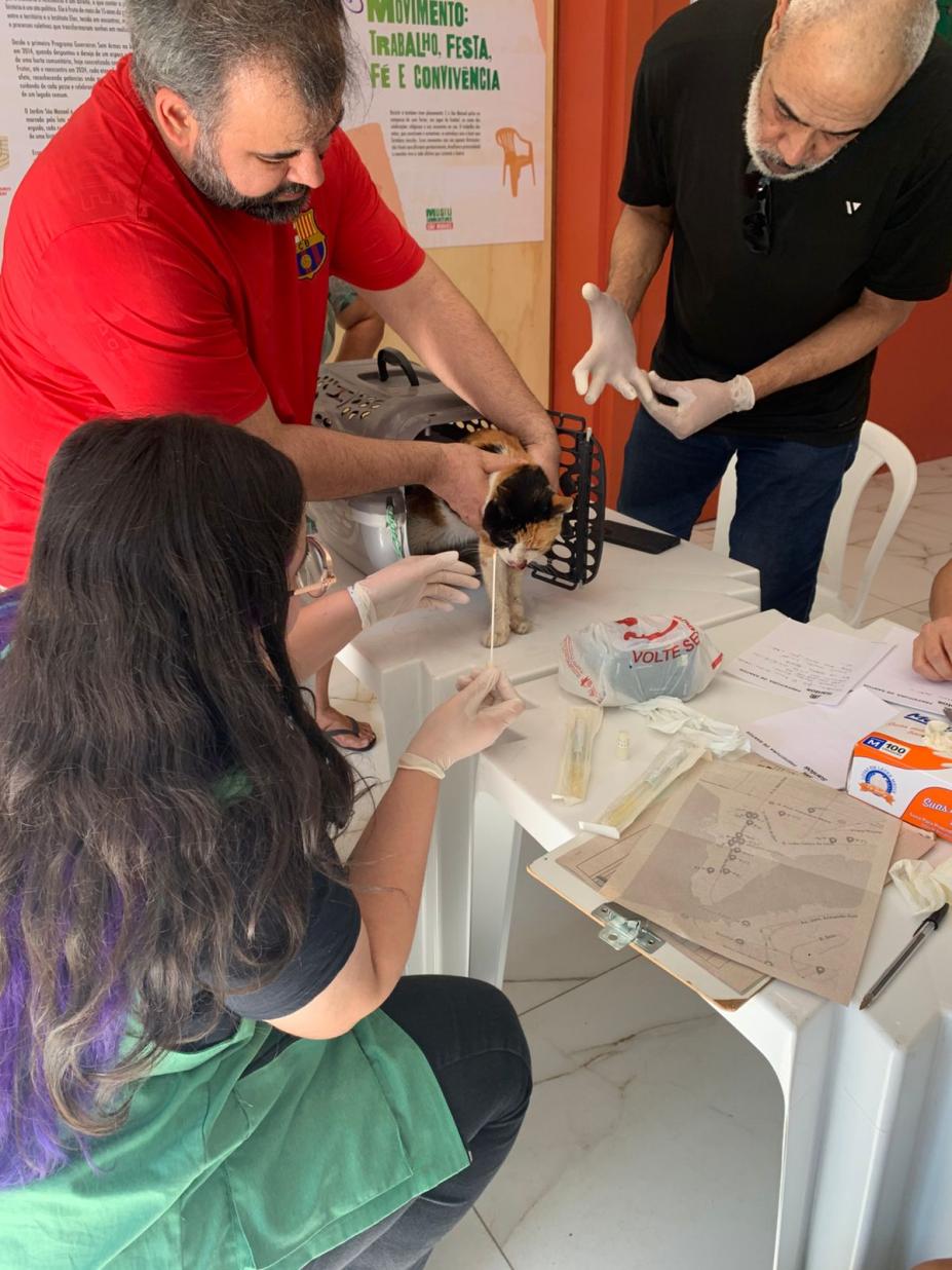 pessoas seguram gato #paratodosverem