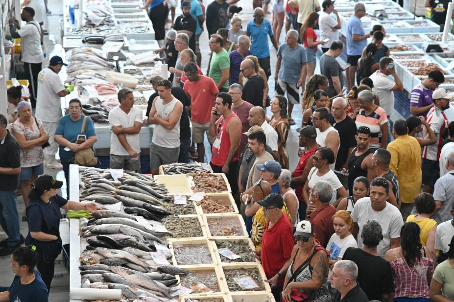 inúmeros clientes diante de boxes de pescados. #paratodosverem 