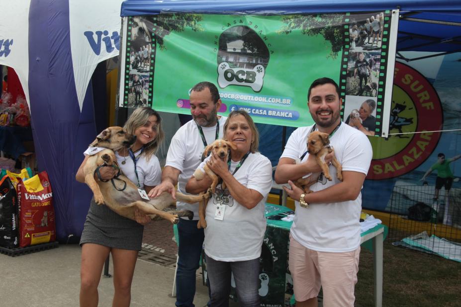 representantes de ONGs mostram animais para adoção #paratodosverem