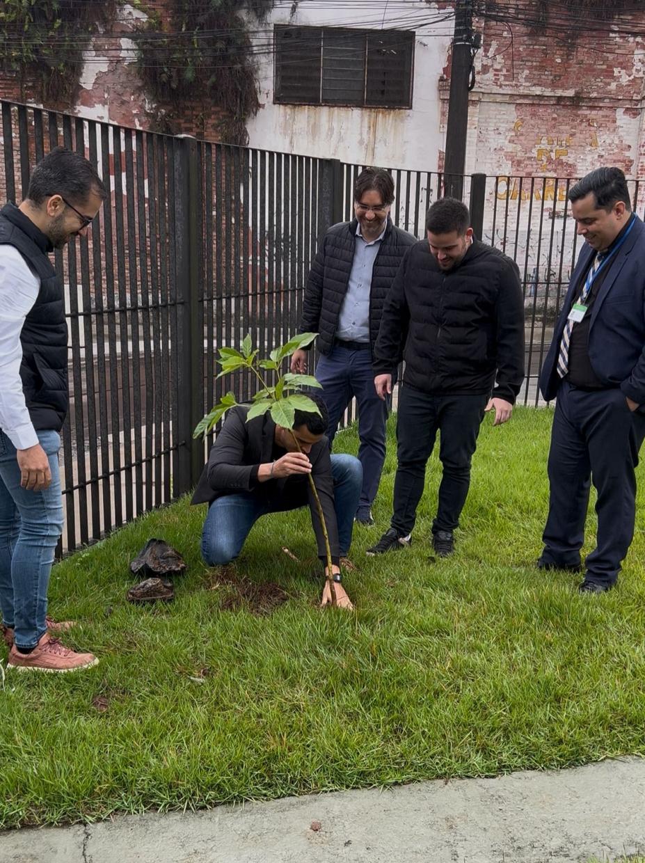homens em torno de muda de árvore. #paratodosverem