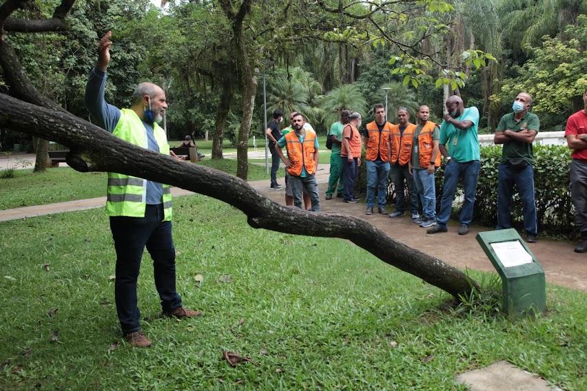 técnico do IPT usando colete está ao lado de tronco de árvore inclinado. Ele conversa com grupo de pessoas que estão em pé. a área é coberta por vegetação. #paratodosverem 