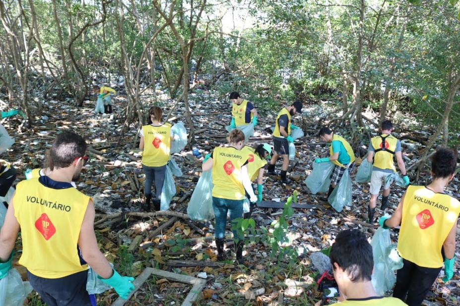 voluntários fazem limpeza em mangue #pracegover 