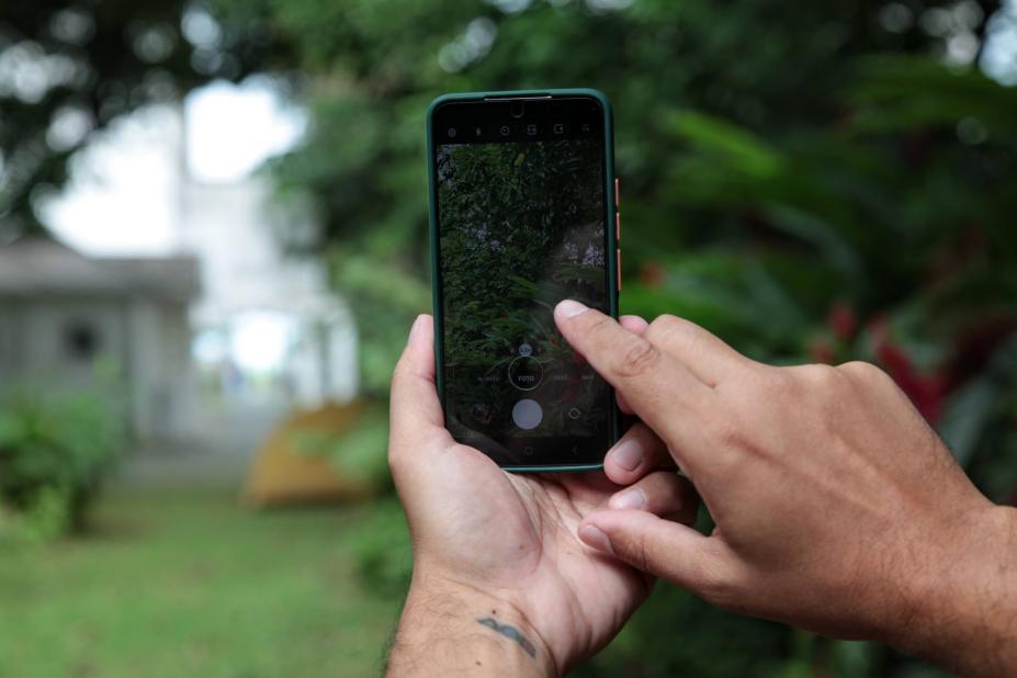 mão segura celular em primeiro plano que foca em plantas. #paratodosverem