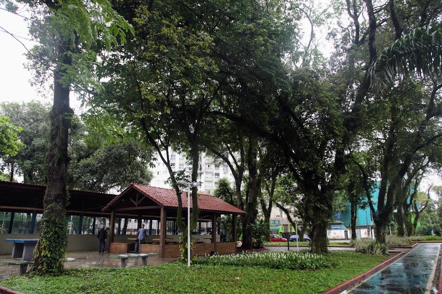 vista geral da praça com paisagismo concluído, Há um canteiro em primeiro plano e árvores adultas. #paratodosverem 