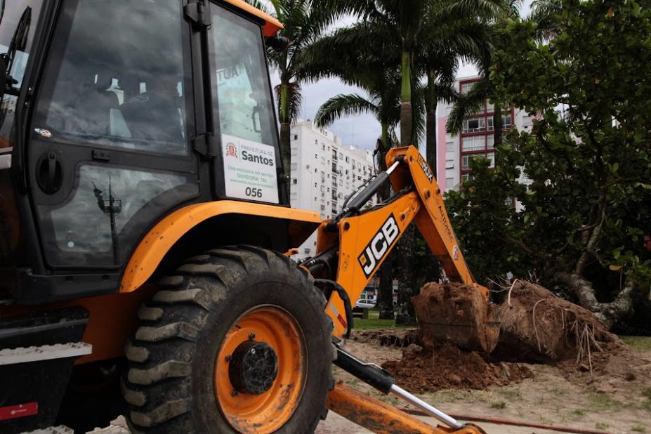 trator remove árvore derrubada no jardim da praia. #paratodosverem