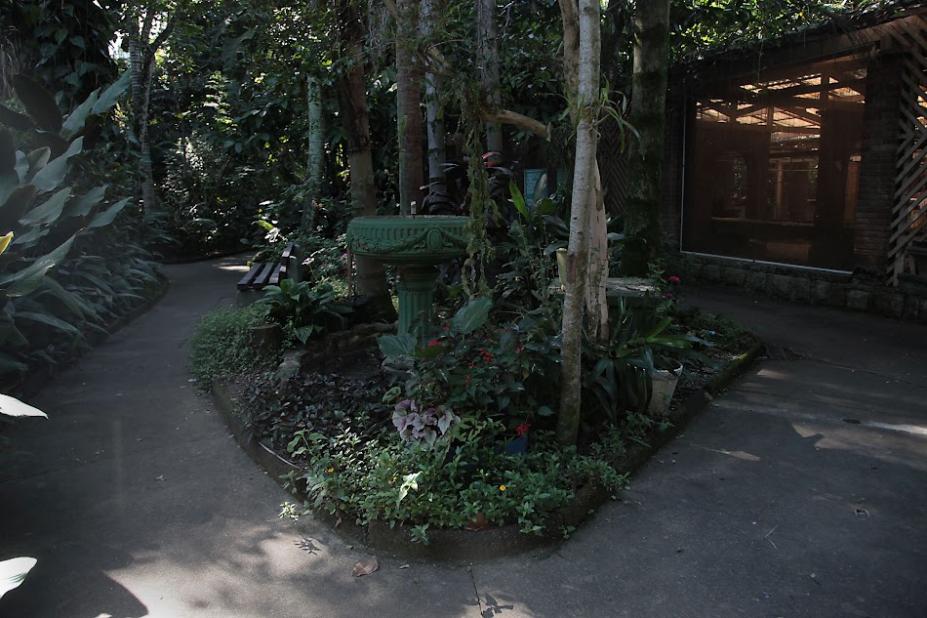 canteiro de plantas no orquidário. #paratodosverem 
