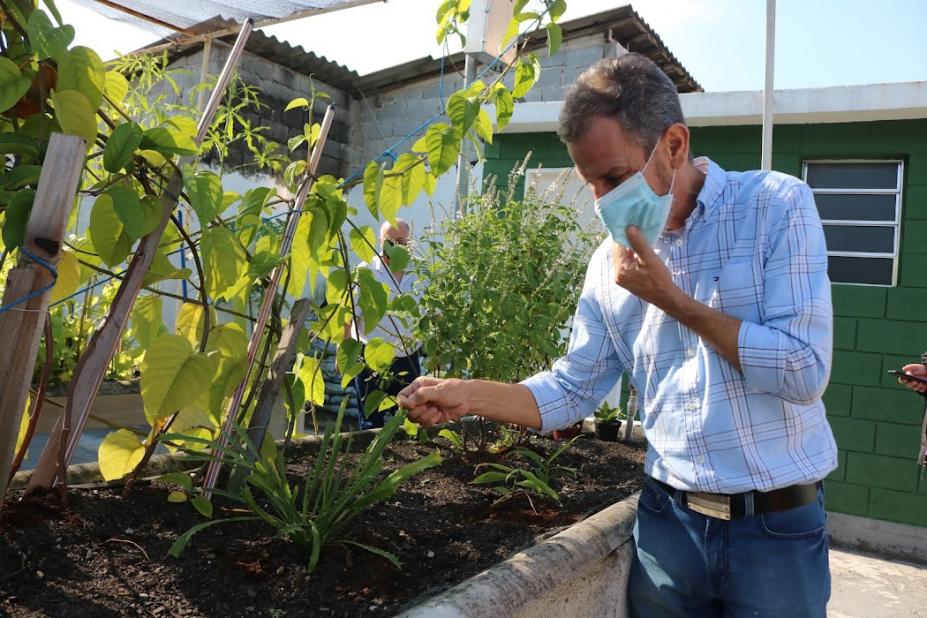 medico mexe em horta com plantas #paratodosverem