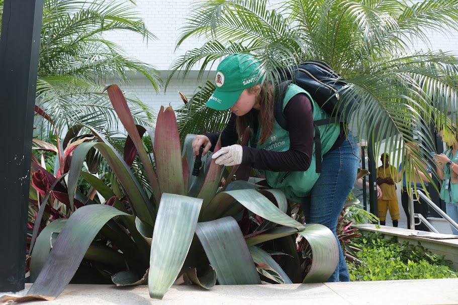 agente da dengue uniformizada procura foto de dengue em planta de jardim. #paratodosverem 