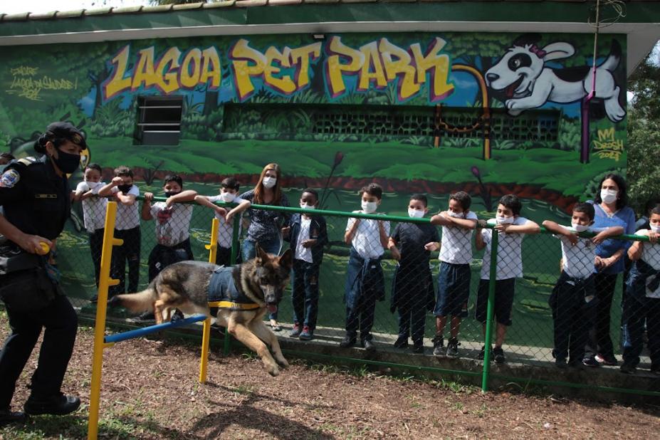 Cachorro pula em obstáculo na frente de crianças #paratodosverem