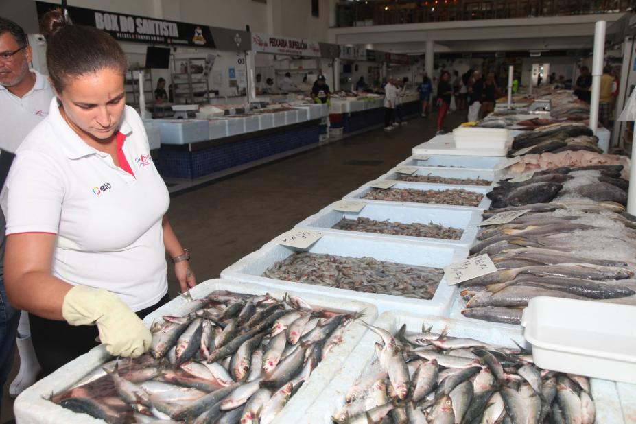 balcão com caixas de isopor cheias de peixe. #paratodosverem 
