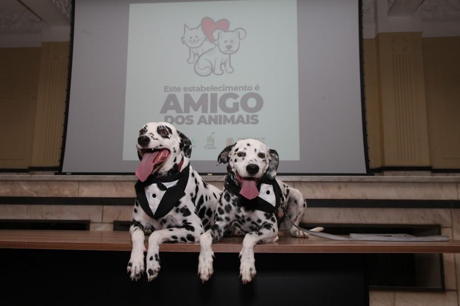 CÃES ESTÃO EM BANCO. aO FUNDO HÁ UMA TELA ONDE SE LÊ AMIGO DOS ANIMAIS. #PARATODOSVEREM