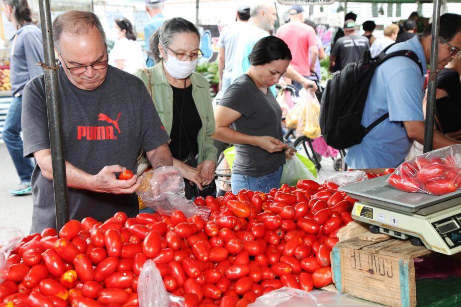 barraca de tomates em feira livre.#paratodosverem