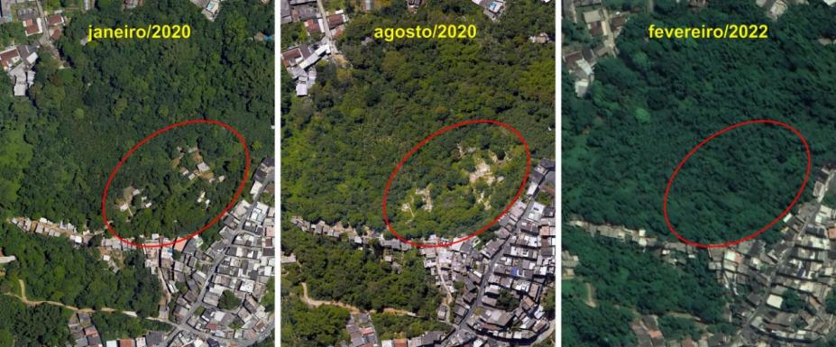 três imagens de satélite de área em santos que estava desmatada e foi recuperada com plantio de árvores. #paratodosverem