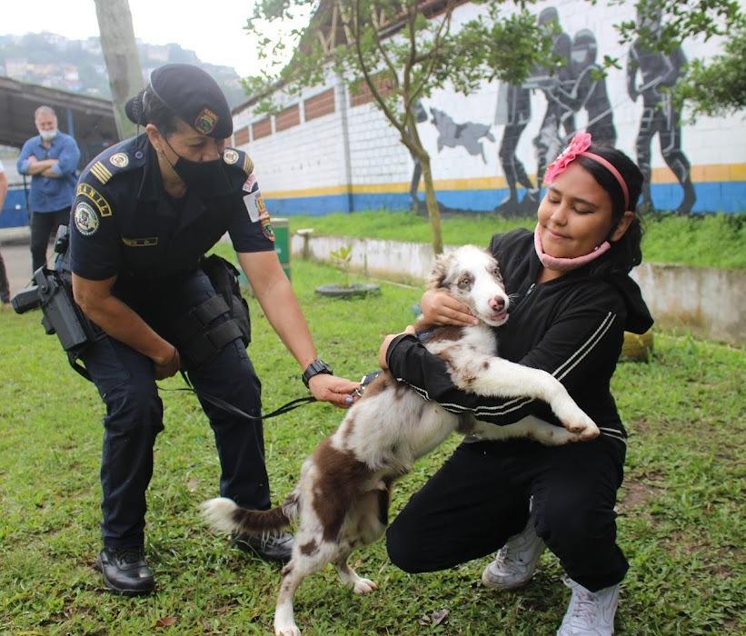 criança abraça cachorro que está preso junto a guarda #paratodoverem