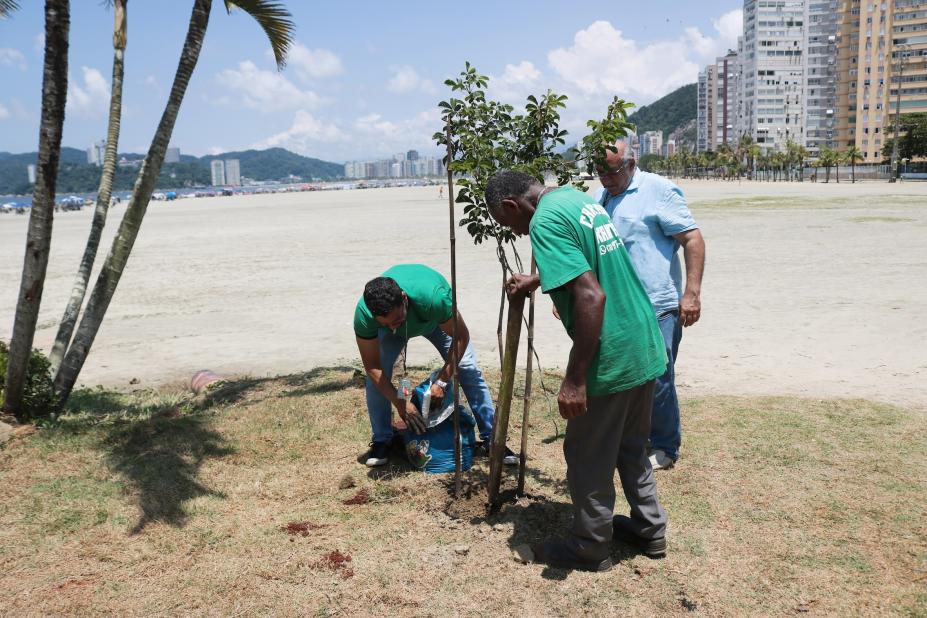 três homens estão plantando uma árvore. #paratodosverem 