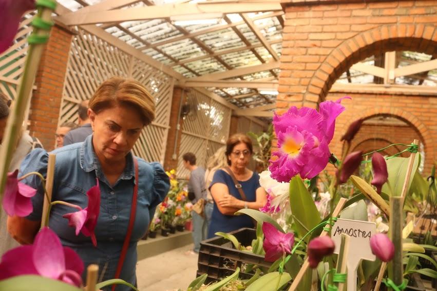 Mulheres observam orquídeas. #pratodosverem