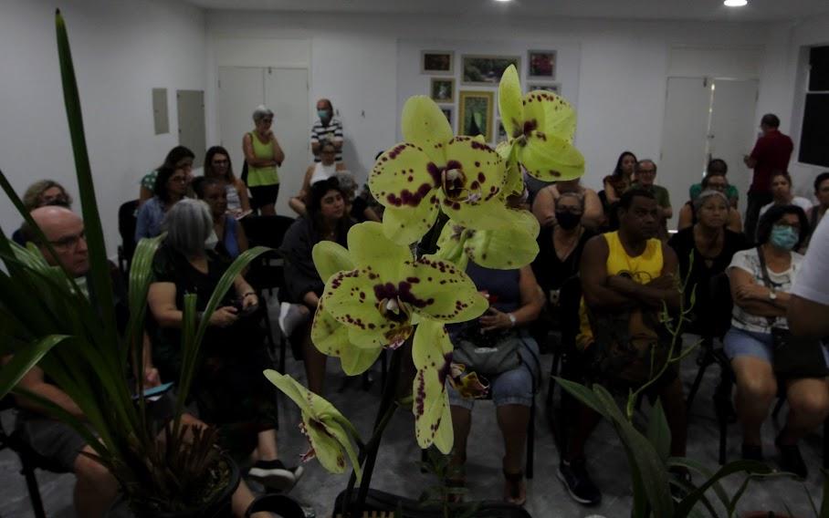 Orquídea amarela com pigmentos roxos em primeiro plano, com público ao fundo. #paratodosverem
