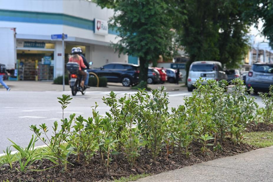 canteiro com paisagismo na avenida #paratodosverem