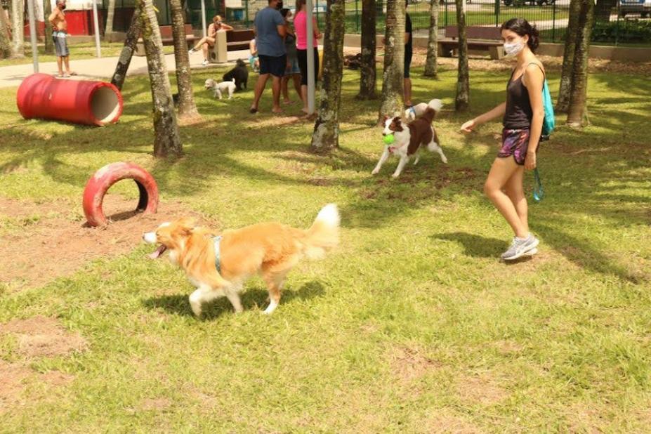 área de jardim com peças para os cães brincarem. Há tutores junto. #paratodosverem