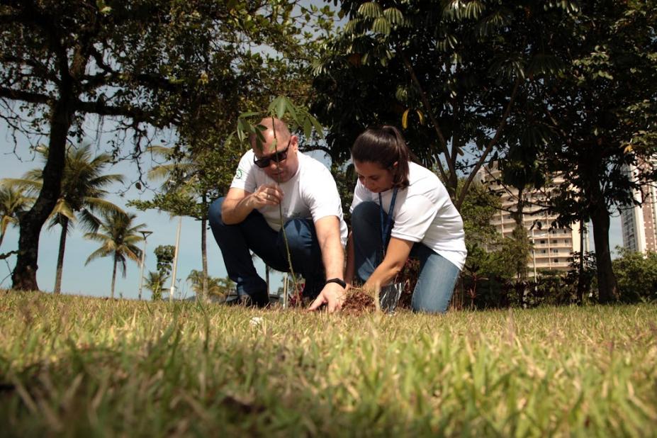 Homem e mulher plantam muda de árvore no jardim da orla de Santos. #paratodosverem