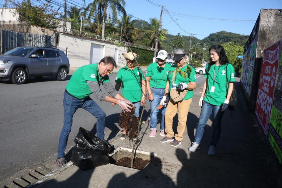 grupo de pessoas planta árvore em calçada. #paratodosverem