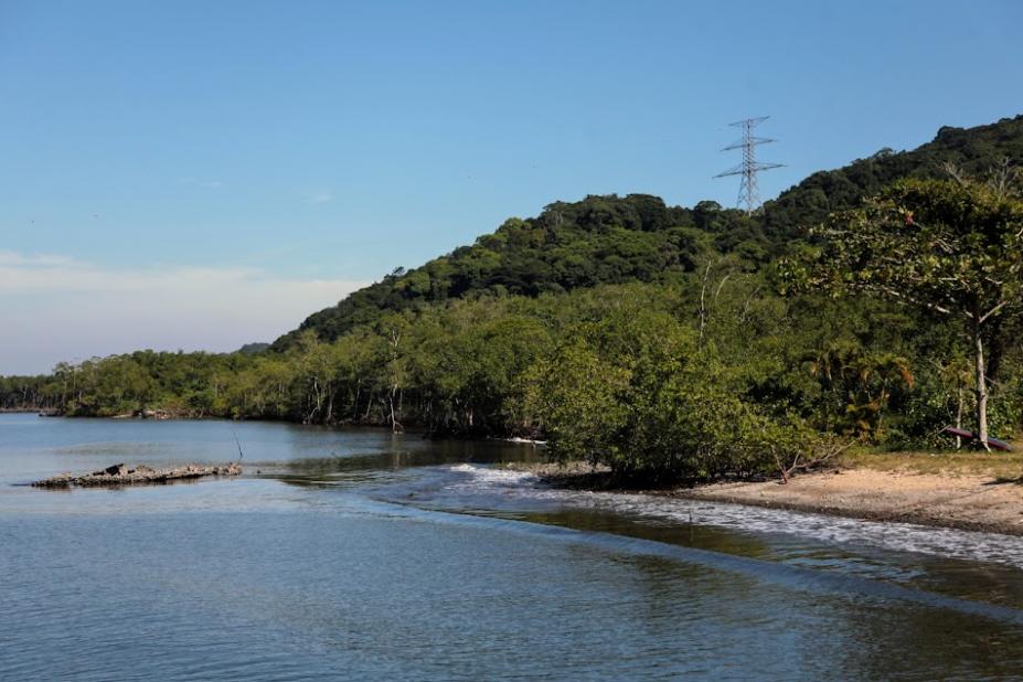 mar em praia deserta com vasta vegetação ao fundo. #participantes 