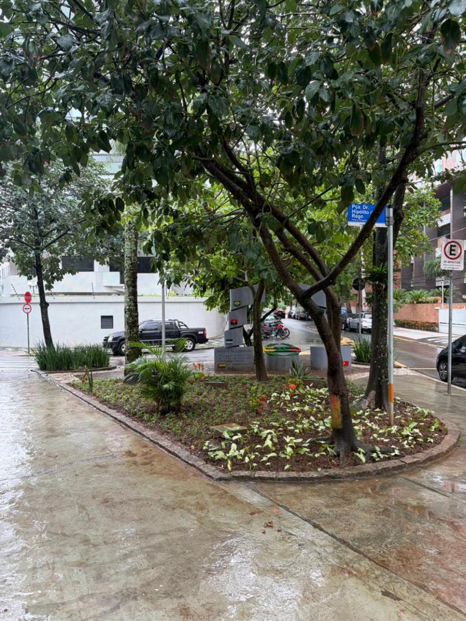 praça arborizada #paratodosverem 