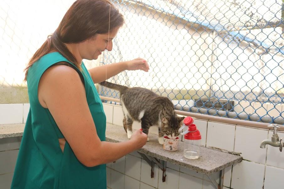 gato está bebendo água em copinho. Mulher está em pé ao lado dele. #paratodosverem