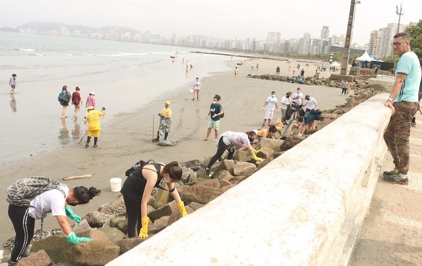 pessoas estão recolhendo lixo entre rochas junto à mureta na ponta da praia. Próximo à água, margaridas rastelam a faixa de areia. #paratodosverem