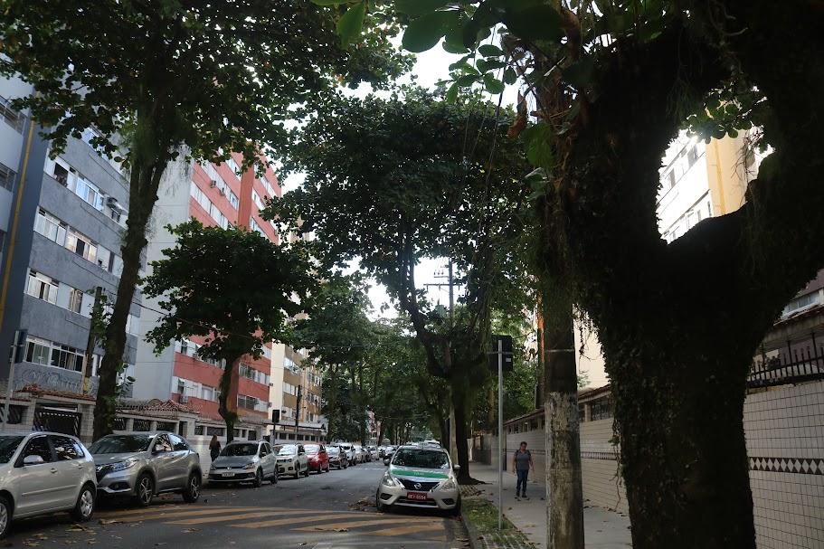 vista geral da via com árvores dos dois lados da calçada. #paratodosverem