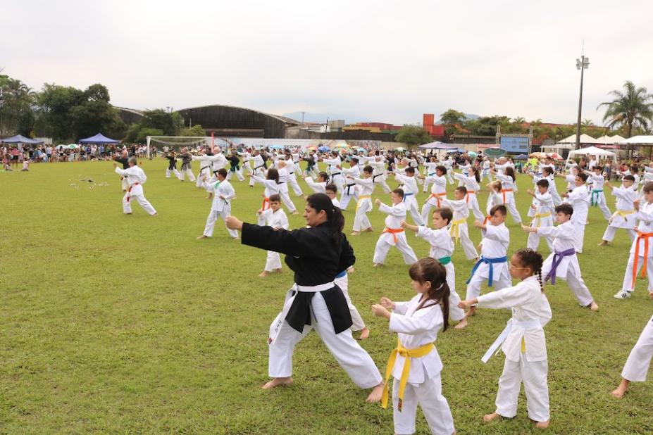 várias criança praticam caratê - todas em golpes idênticos, como uma coreografia, sobre um gramado. #paratodosverem