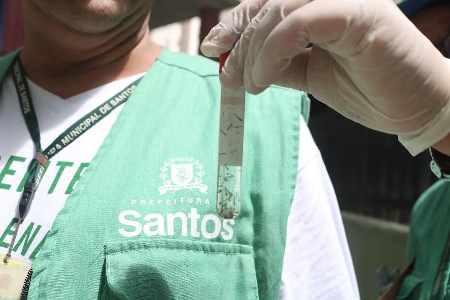 close sobre tubo de ensaio com larvas. Mãos de uma pessoa uniformizada seguram o tubo. #paratodosverem 