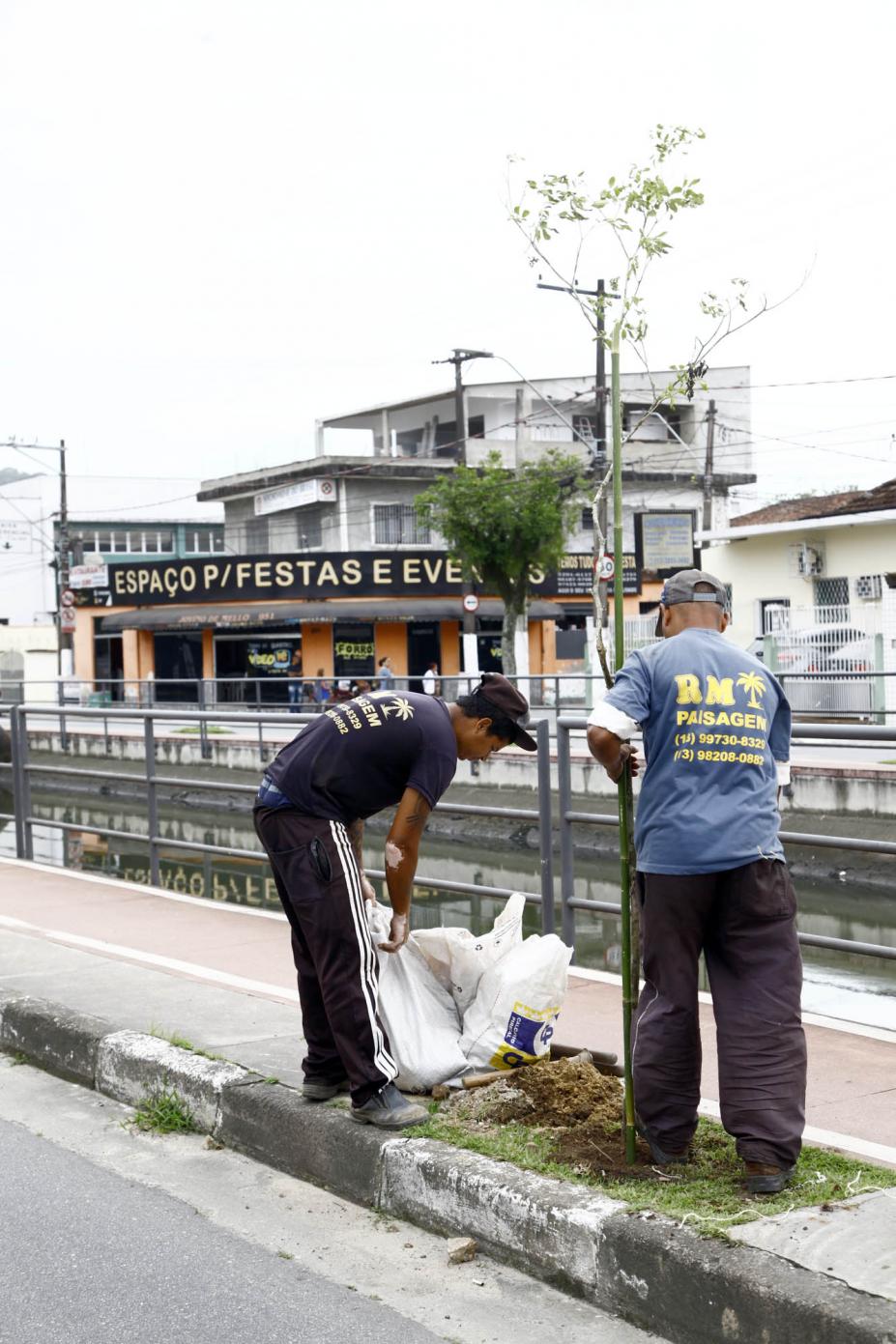 Muda de ipê é plantada em calçada ao lado de canal. Dois homens fazem o serviço. A muda tem cerca de três metros. #Pracegover