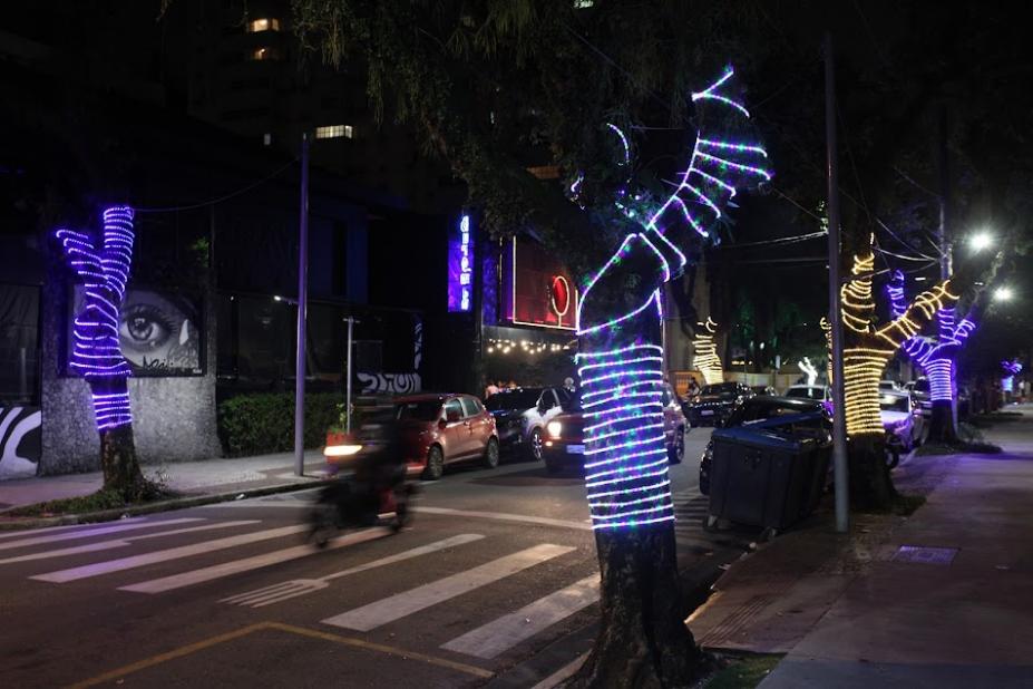 vista geral da rua com árvores naturais decoradas com cordões de luzes nos troncos. #paratodosverem