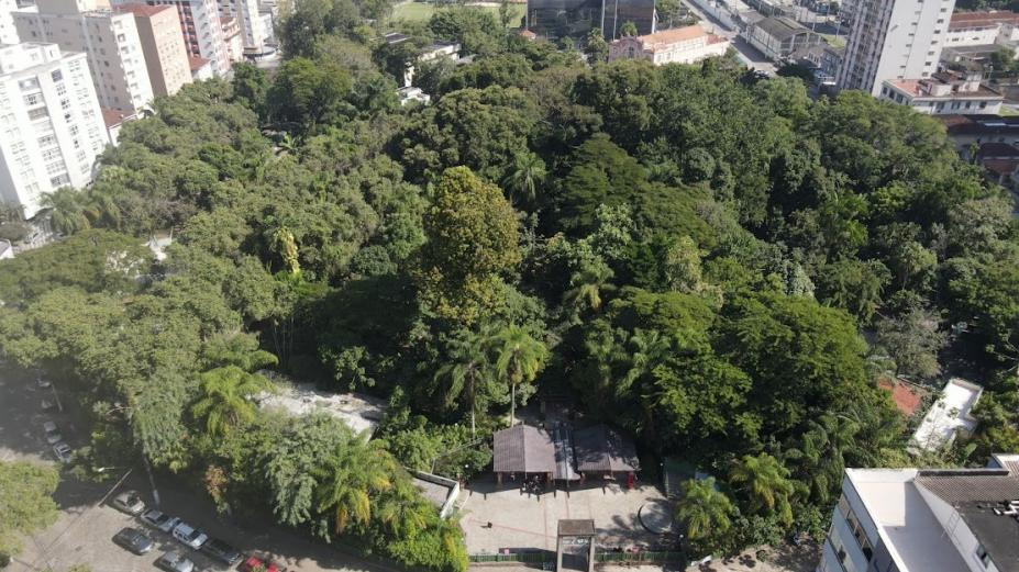 vista aérea do orquidário, com destaque para uma grande massa verde. #paratodosverem 