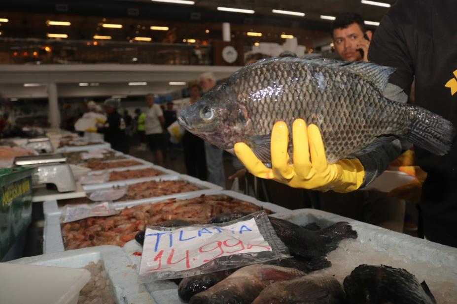 mão mostra peixe #paratodosverem