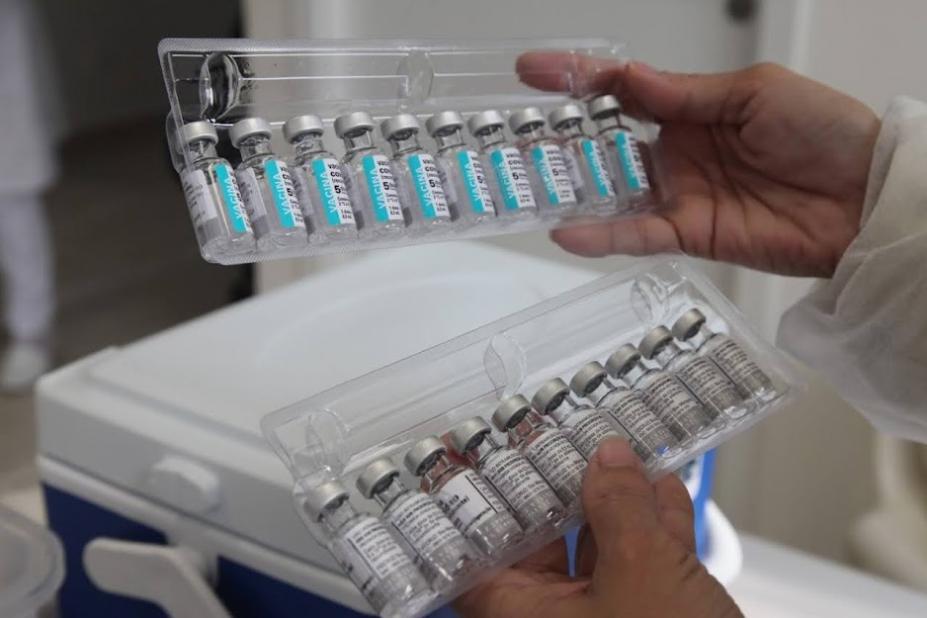 mãos seguram caixa transparente com vários tubos de vacina. #paratodosverem