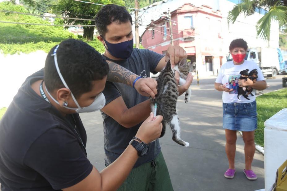 homem segura gata enquanto outro vacina o animal. Ao fundo, uma mulheres segura dois cãezinhos no colo. #paratodosverem