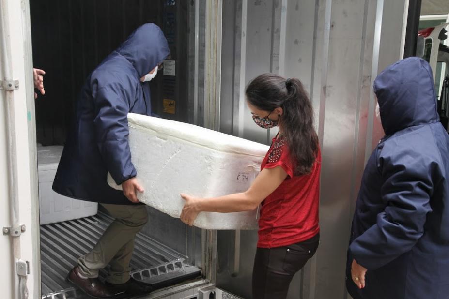 Técnicos carregam isopor com as vacinas para dentro de conteiner refrigerado. #pracegover