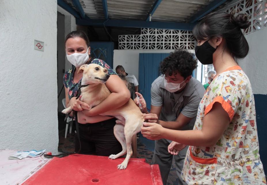 Mulher segura cachorro, um homem aplica a injeção e outra mulher ampara o animal. #paratodosverem