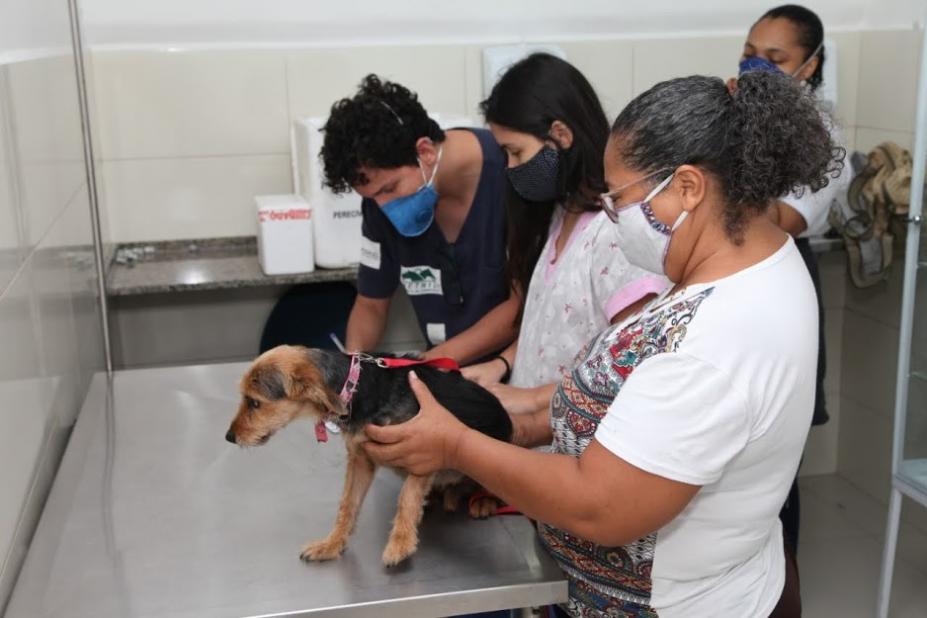 mulher segura cachorro para ser vacinado #paratodosverem 