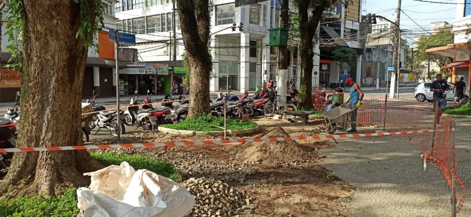 fita separando árvores e pedras de trecho de praça #paratodosverem