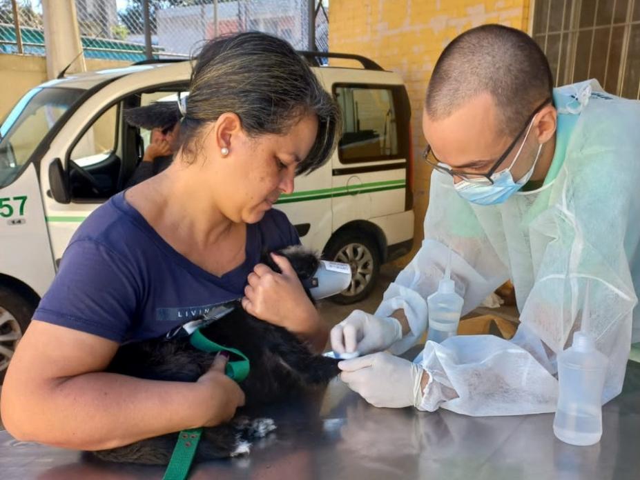 profissional colhe sangue da patinha de cão enquanto tutora segura #paratodosverem