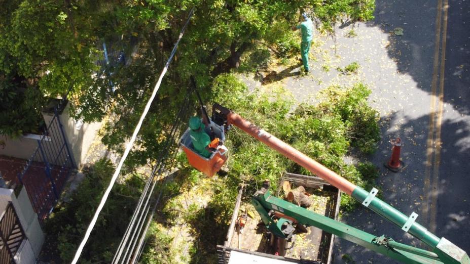 homem em cabine erguida por caminhão realiza poda de árvore #paratodosverem