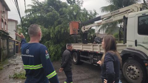 árvore caída e caminhão para remoção ao lado, #paratodosverem 