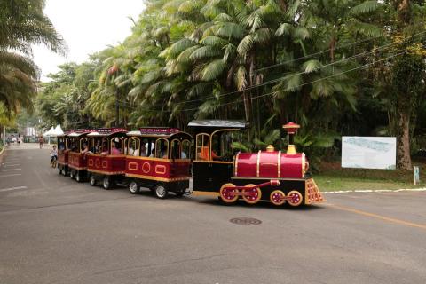 trem passa por jardim #paratodosverem