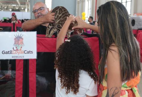 pessoas acariciando um gato #paratodosverem