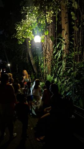 pessoas visitando o orquidário à noite #paratodosverem