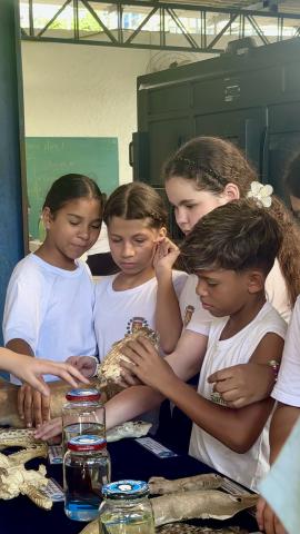 crianças olhando amostra de animais #paratodosverem 